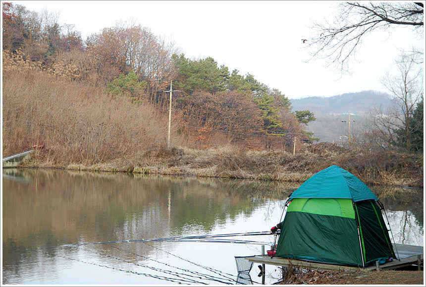 이어지는 주말의 조황 (유료터정보 - 유료터점주조황)
