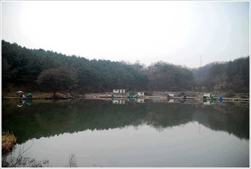 이어지는 주말의 조황 (유료터정보 - 유료터점주조황)