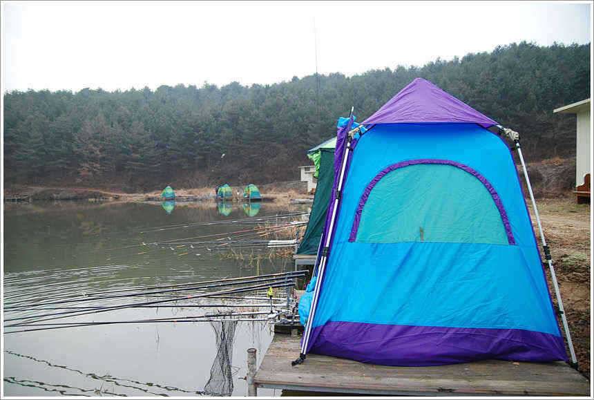 이어지는 주말의 조황 (유료터정보 - 유료터점주조황)