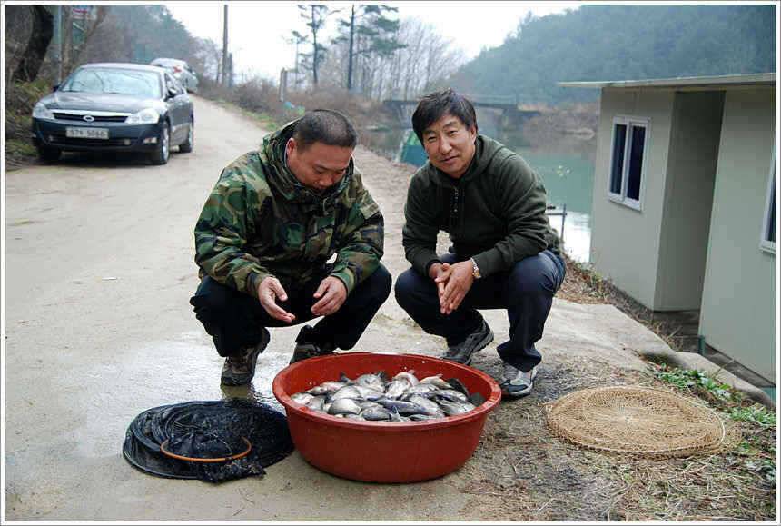 팔이 아플정도로 (유료터정보 - 유료터점주조황)