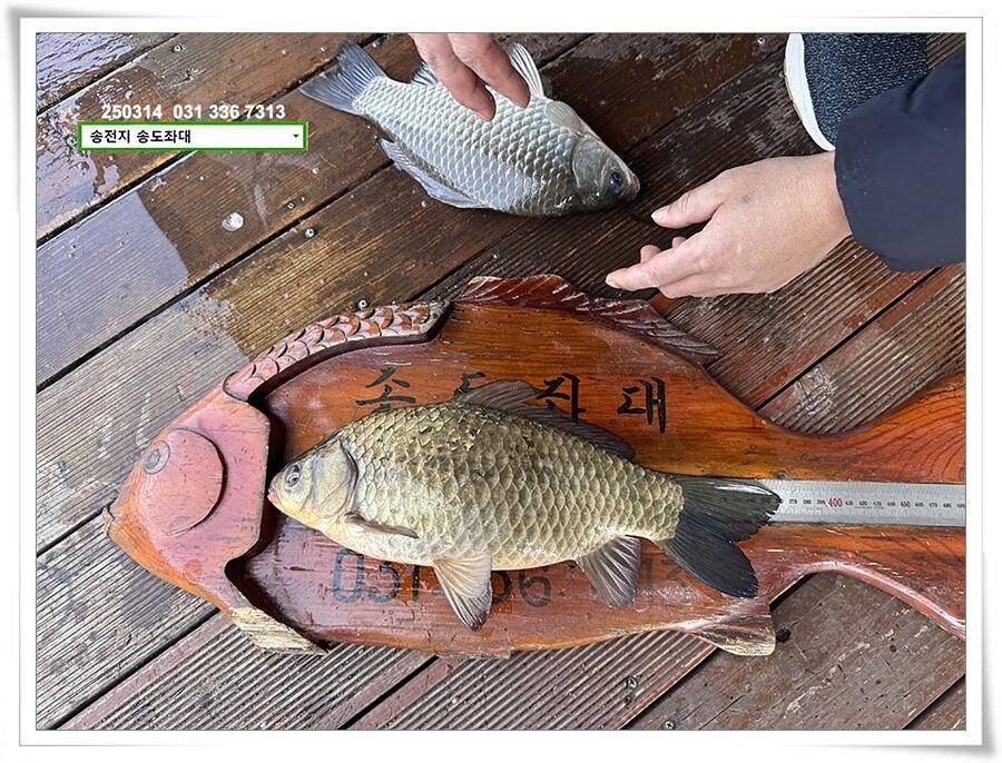 첫 4짜 (유료터정보 - 유료터점주조황)