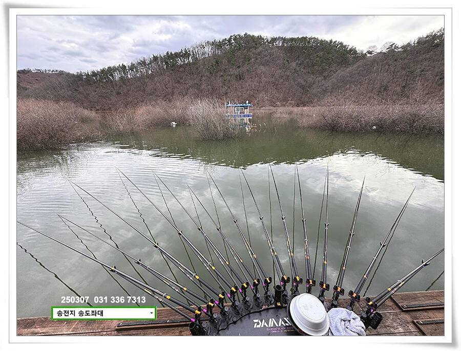 첫 수 (유료터정보 - 유료터점주조황)