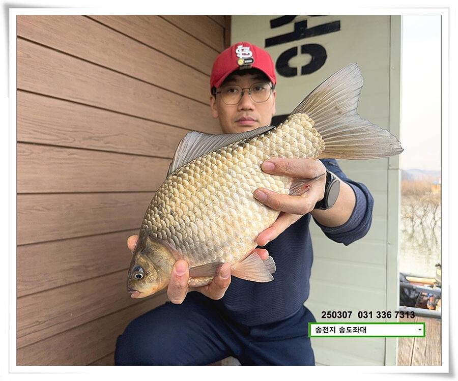 첫 수 (유료터정보 - 유료터점주조황)