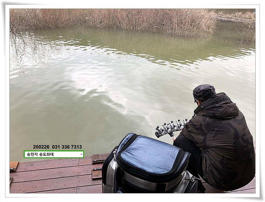 덩어리 등판 송전지 송도좌대 조황 (유료터정보 - 유료터점주조황)