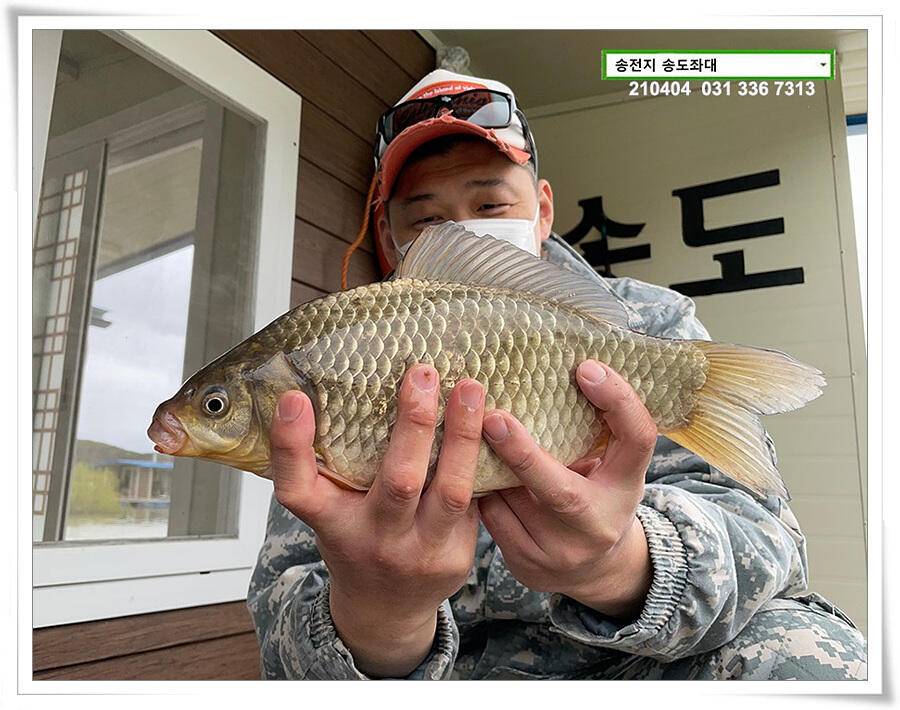 산란 송전지 송전낚시터 송도좌대 조황 (유료터정보 - 유료터점주조황)