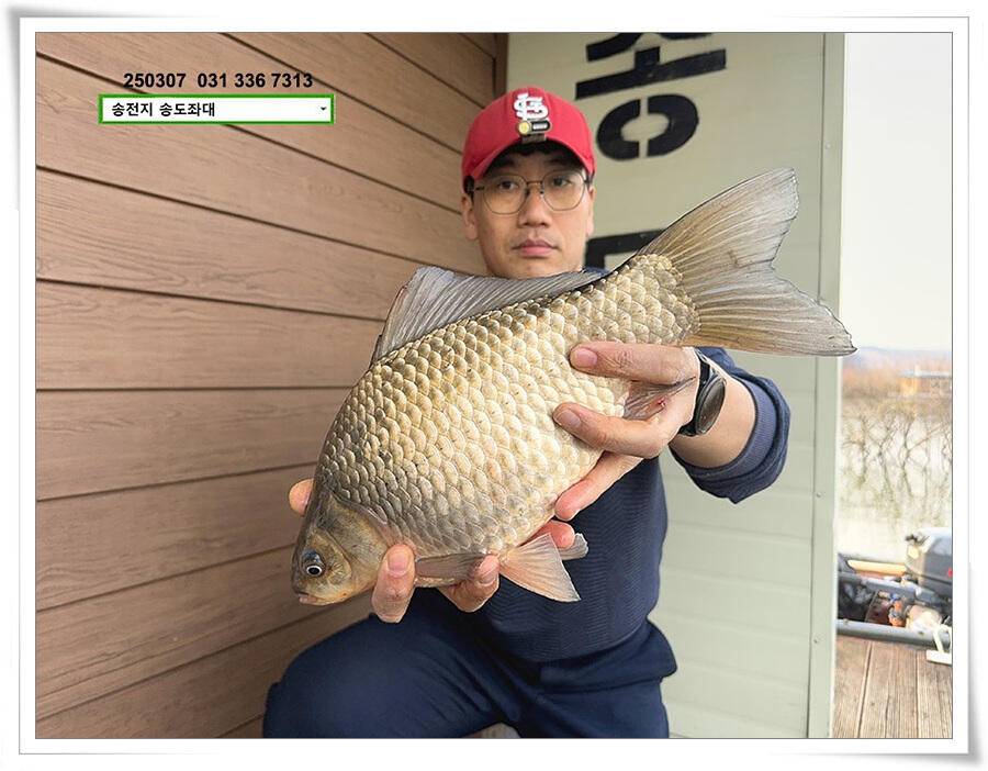 첫 수 (유료터정보 - 유료터점주조황)