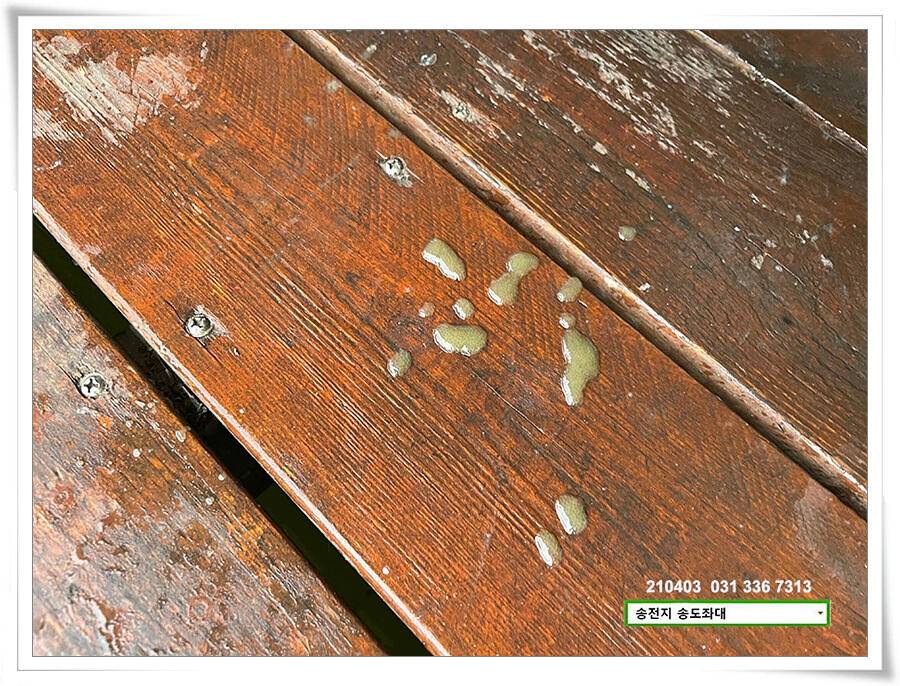 산란 송전지 송전낚시터 송도좌대 조황 (유료터정보 - 유료터점주조황)