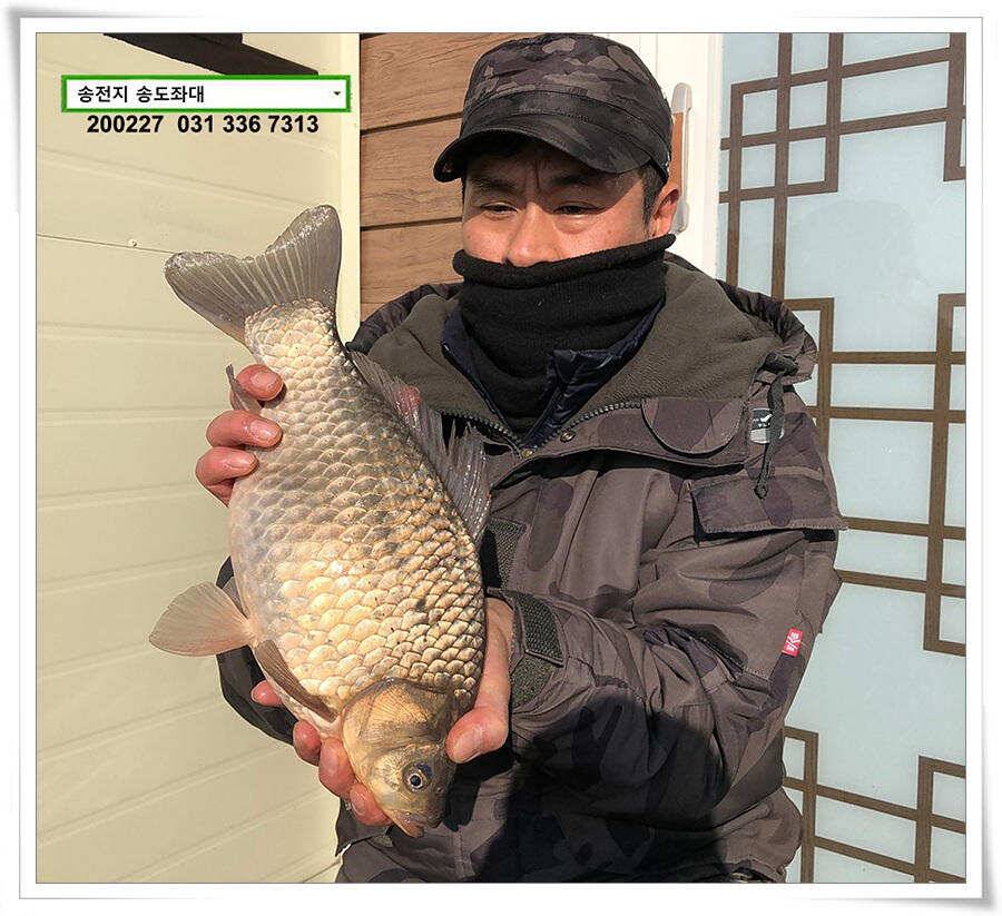 덩어리 등판 송전지 송도좌대 조황 (유료터정보 - 유료터점주조황)