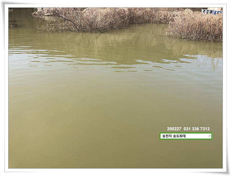 덩어리 등판 송전지 송도좌대 조황 (유료터정보 - 유료터점주조황)