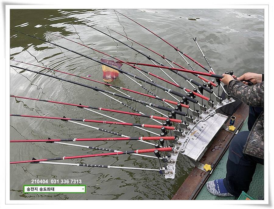 산란 송전지 송전낚시터 송도좌대 조황 (유료터정보 - 유료터점주조황)