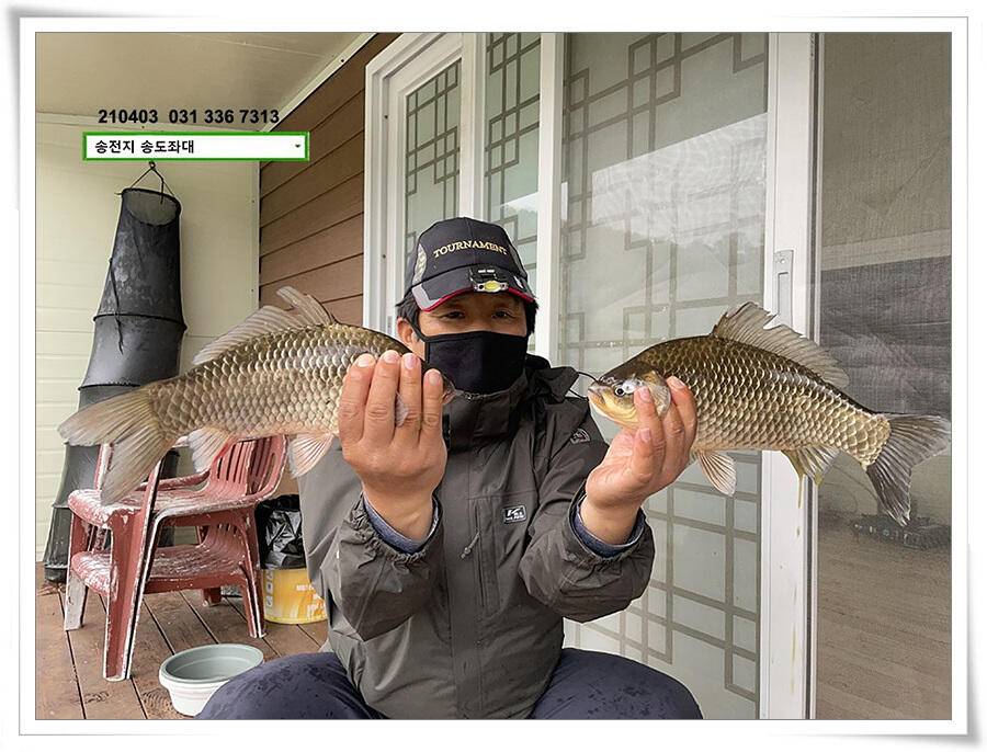 산란 송전지 송전낚시터 송도좌대 조황 (유료터정보 - 유료터점주조황)