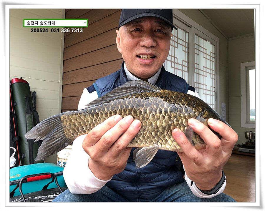 거꾸로 가는 송전지 시계 (유료터정보 - 유료터점주조황)