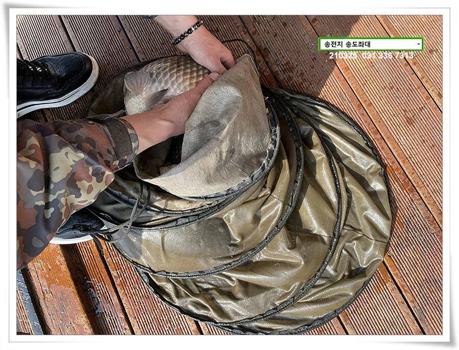 4짜붕어 용인송전지 송도좌대 조황 (유료터정보 - 유료터점주조황)