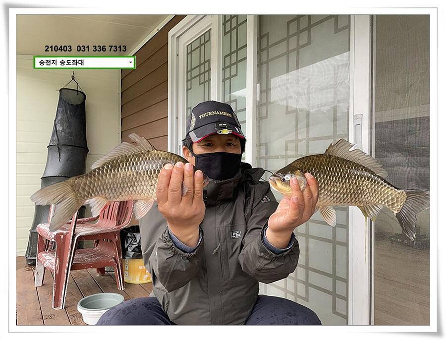 산란 송전지 송전낚시터 송도좌대 조황 (유료터정보 - 유료터점주조황)