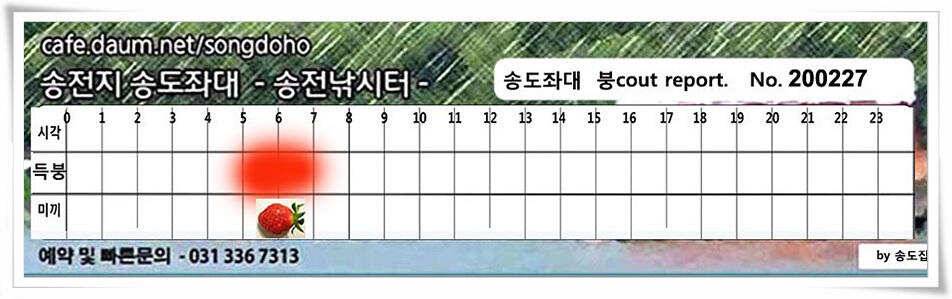 덩어리 등판 송전지 송도좌대 조황 (유료터정보 - 유료터점주조황)