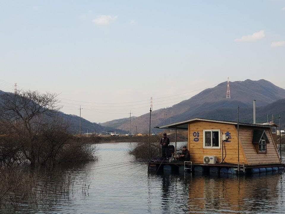 고삼지 산란임박 양촌좌대 포인트 (유료터정보 - 유료터점주조황)