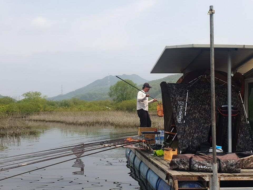 연휴 고삼지 양촌좌대 멋진사짜붕어의 자태입니다 (유료터정보 - 유료터점주조황)