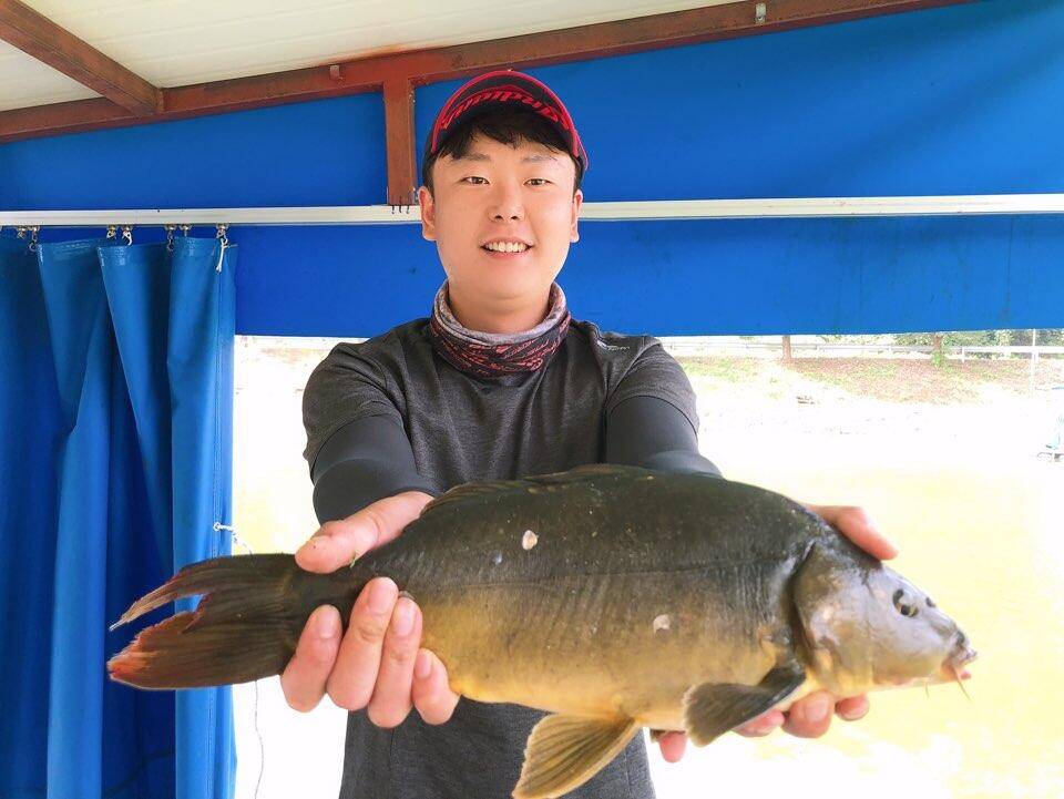 공주 고성낚시터 입니다 (유료터정보 - 유료터점주조황)