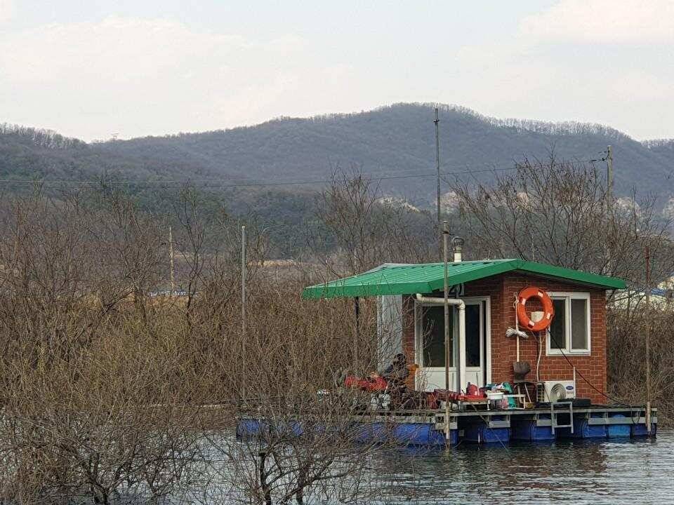 마리수 덩어리들 올라옵니다 고삼지 양촌좌대 (유료터정보 - 유료터점주조황)
