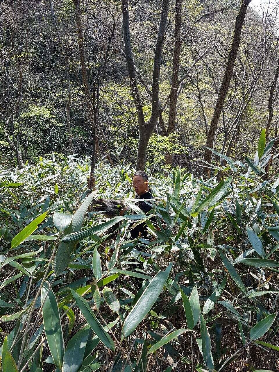 주말 조황굿 (유료터정보 - 유료터점주조황)