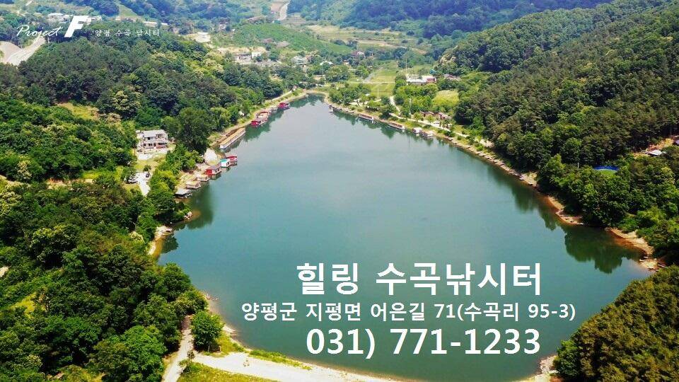 양평 수곡낚시터 대호만 토종붕어 대량방류 및 주중조황 (유료터정보 - 유료터점주조황)