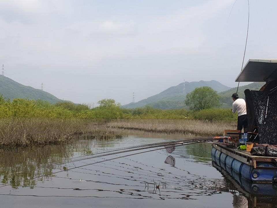 연휴 고삼지 양촌좌대 멋진사짜붕어의 자태입니다 (유료터정보 - 유료터점주조황)