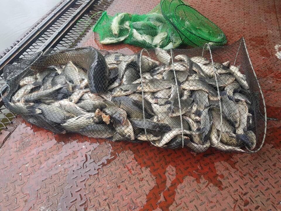 가까운 가족 손맛터 통삼낚시터서울 용인 수원 동탄 (유료터정보 - 유료터점주조황)