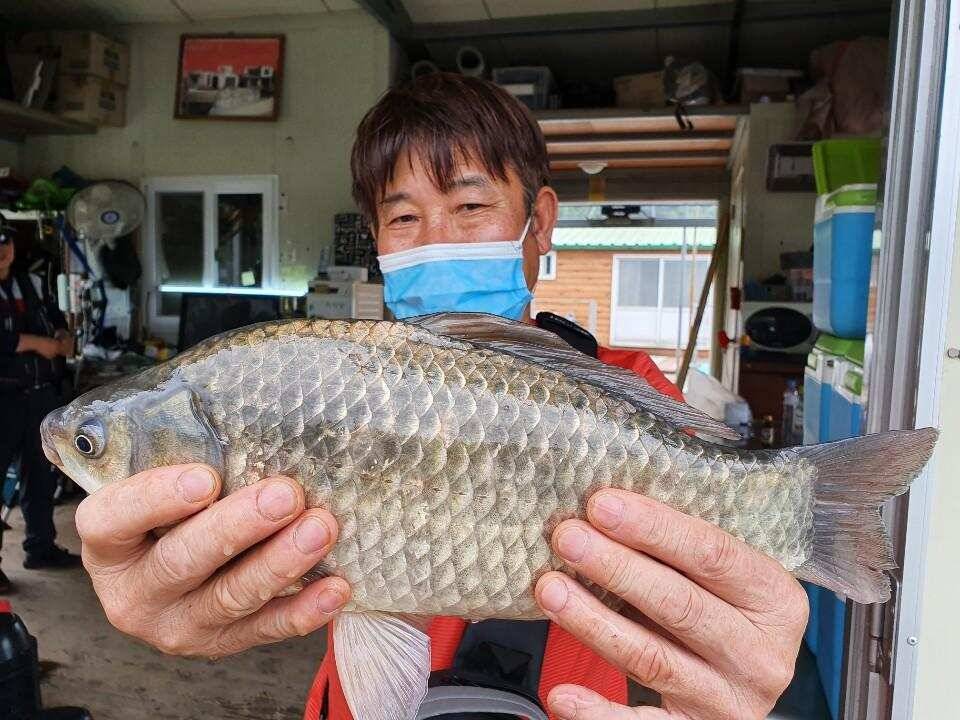 고삼지 때고기 조황입니다 (유료터정보 - 유료터점주조황)