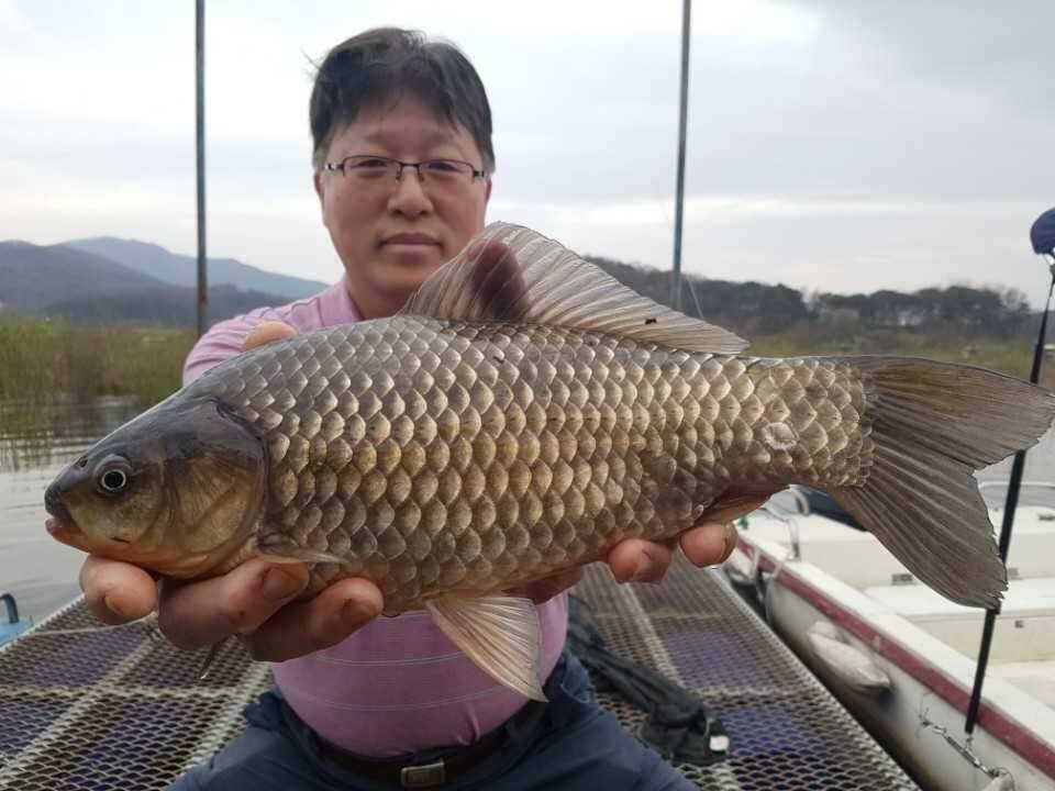 고삼지양촌4짜연속 출몰 대물명당의 비법을 공개합니다 (유료터정보 - 유료터점주조황)