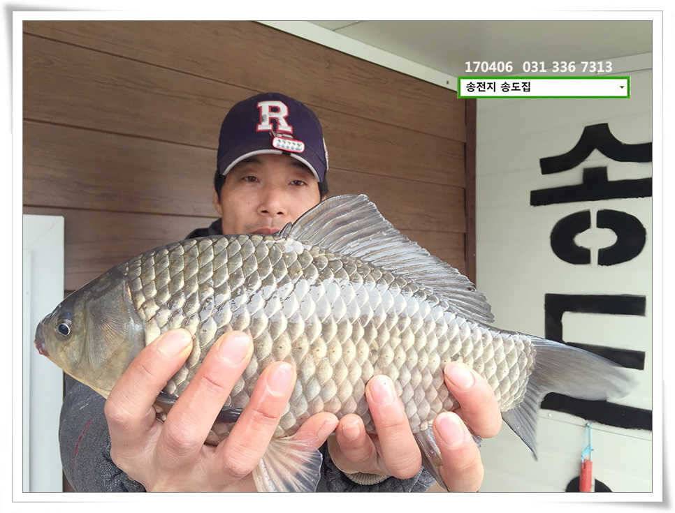 비 온 뒤 다시 산란송전지 송도집 조황 (유료터정보 - 유료터점주조황)