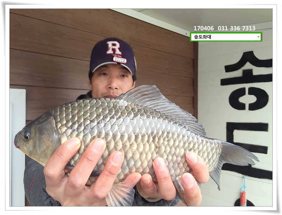 비 온 뒤 다시 산란송전지 송도집 조황 (유료터정보 - 유료터점주조황)