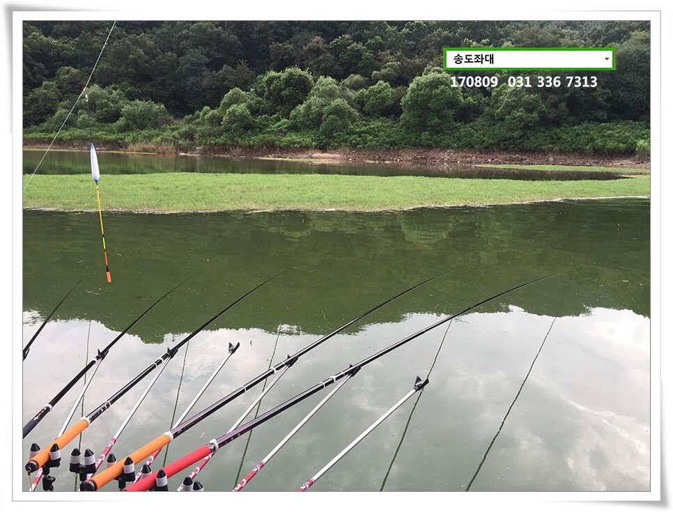 송전지 송도집 좌대 조황 (유료터정보 - 유료터점주조황)