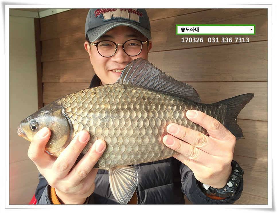 이어진 허리급송전지 송도집 조황 (유료터정보 - 유료터점주조황)