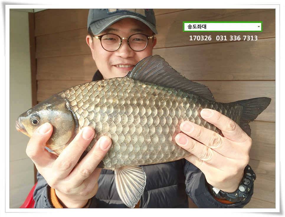 이어진 허리급송전지 송도집 조황 (유료터정보 - 유료터점주조황)