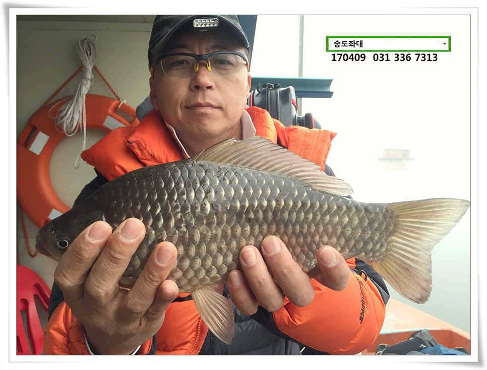 산란에 꾸준한 결과물송도집 조황 (유료터정보 - 유료터점주조황)