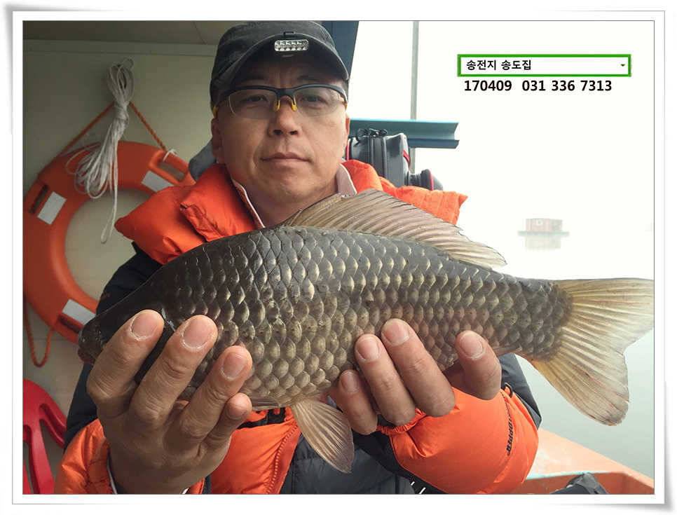 산란에 꾸준한 결과물송도집 조황 (유료터정보 - 유료터점주조황)