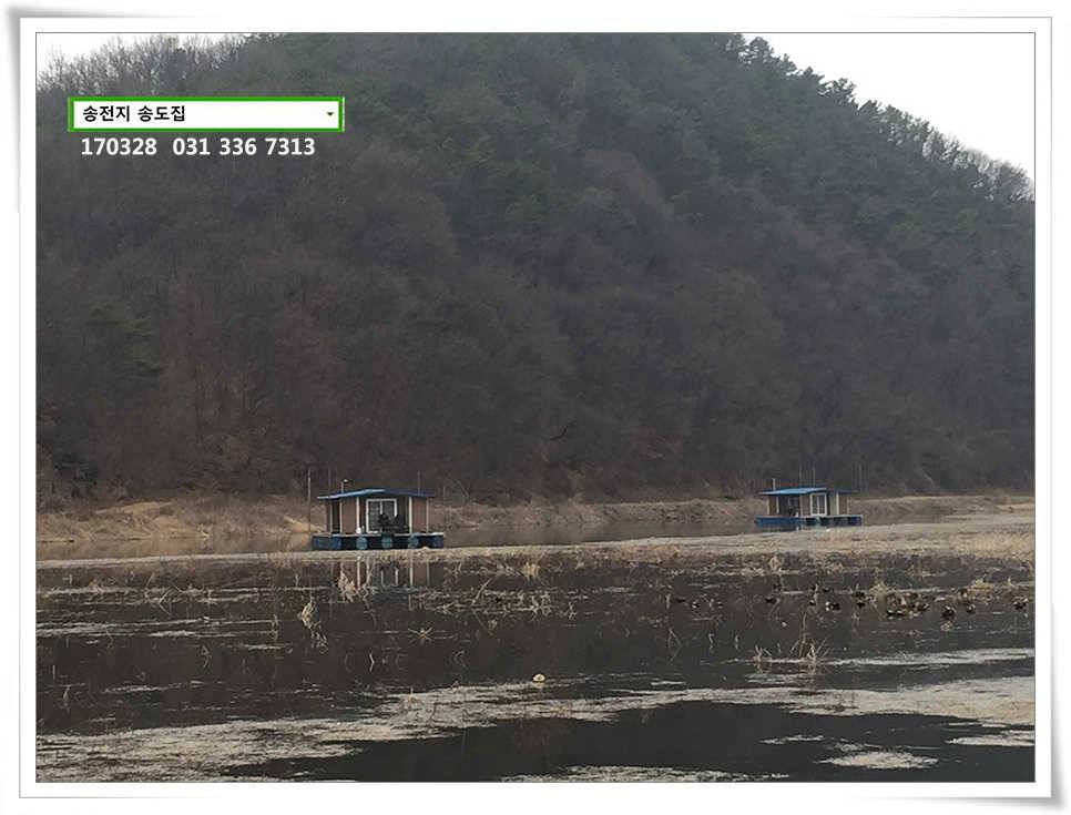 송전지 송도집 좌대 조황 (유료터정보 - 유료터점주조황)