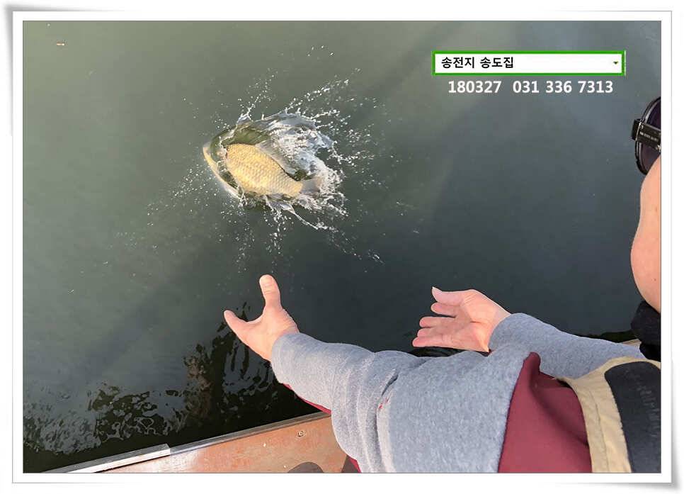 송전지는 산란중 송전지 송도집 좌대 조황 (유료터정보 - 유료터점주조황)