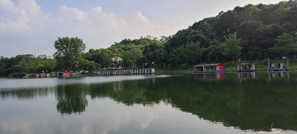 노지낚시 좌대낚시 붕어낚시 수곡낚시터 화요일 조황 붕어방류 완료 (유료터정보 - 유료터점주조황)