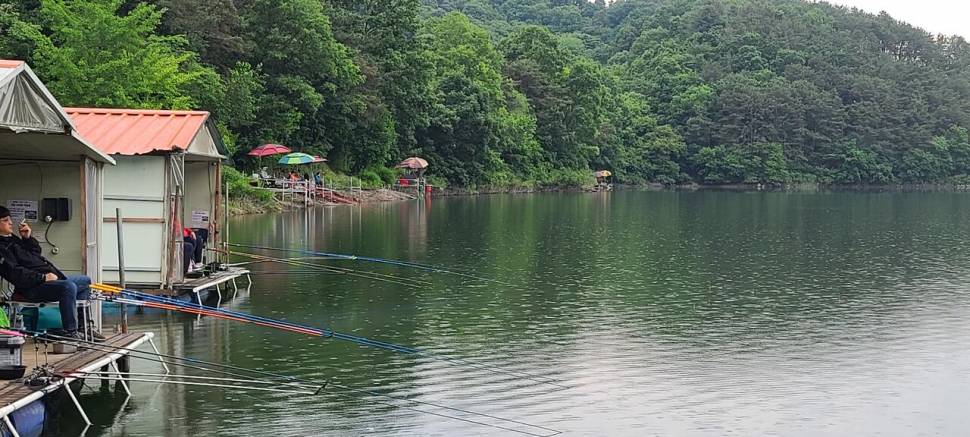 5월 끝주 금토 힐링 수곡낚시터 조황 및 방류 (유료터정보 - 유료터점주조황)