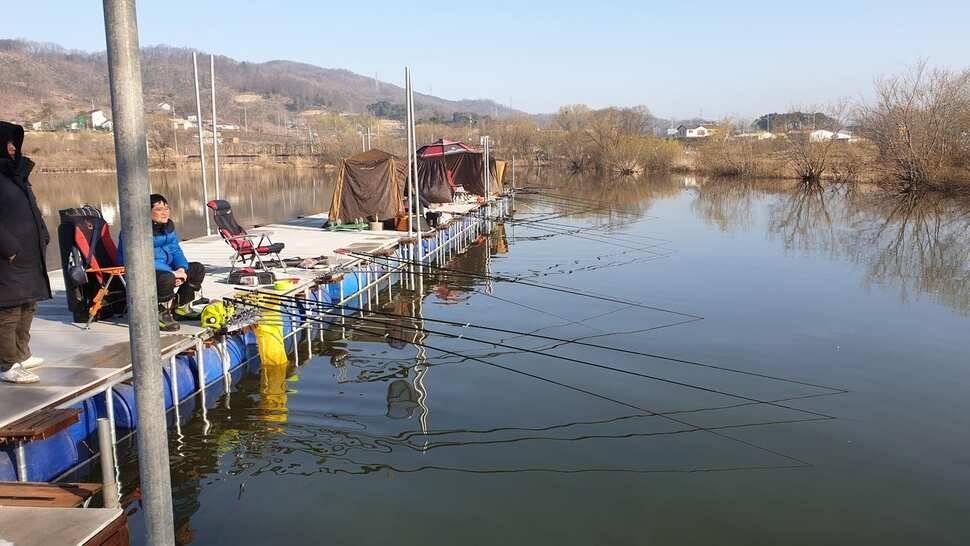 아산 명품 월랑낚시터 3월 네번째 조황이야기입니다 (유료터정보 - 유료터점주조황)