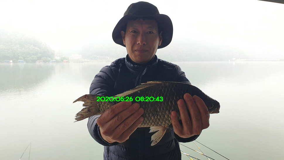 신원낚시터 6월10일 토종대물 덩어리들 사진입니다 (유료터정보 - 유료터점주조황)