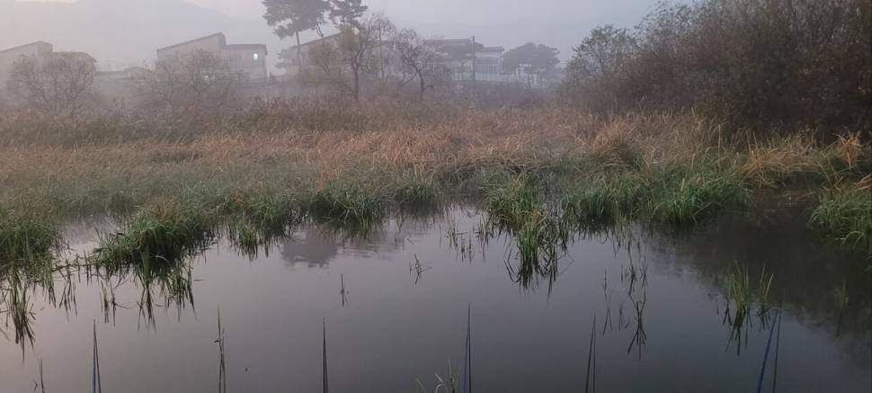아산 안골지 조황정보 입니다 (유료터정보 - 유료터점주조황)