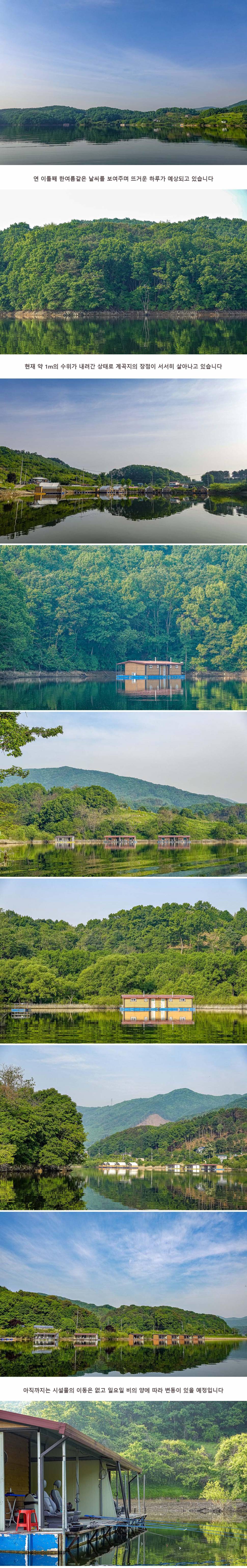 안성 두메낚시터 5월 14일 조황정보 (유료터정보 - 유료터점주조황)