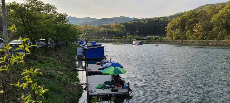 공주 고성낚시터 입니다 (유료터정보 - 유료터점주조황)