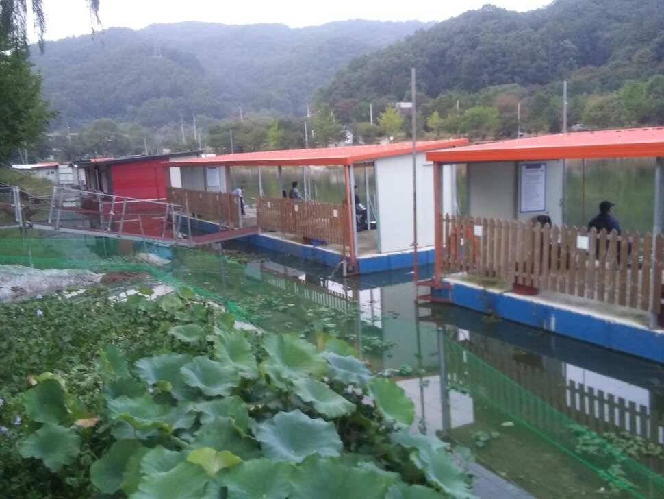 양평 수곡낚시터 붕어낚시 금요일 조황도 고르게 잘 나와주네요 오늘 붕어 방류 완료 (유료터정보 - 유료터점주조황)
