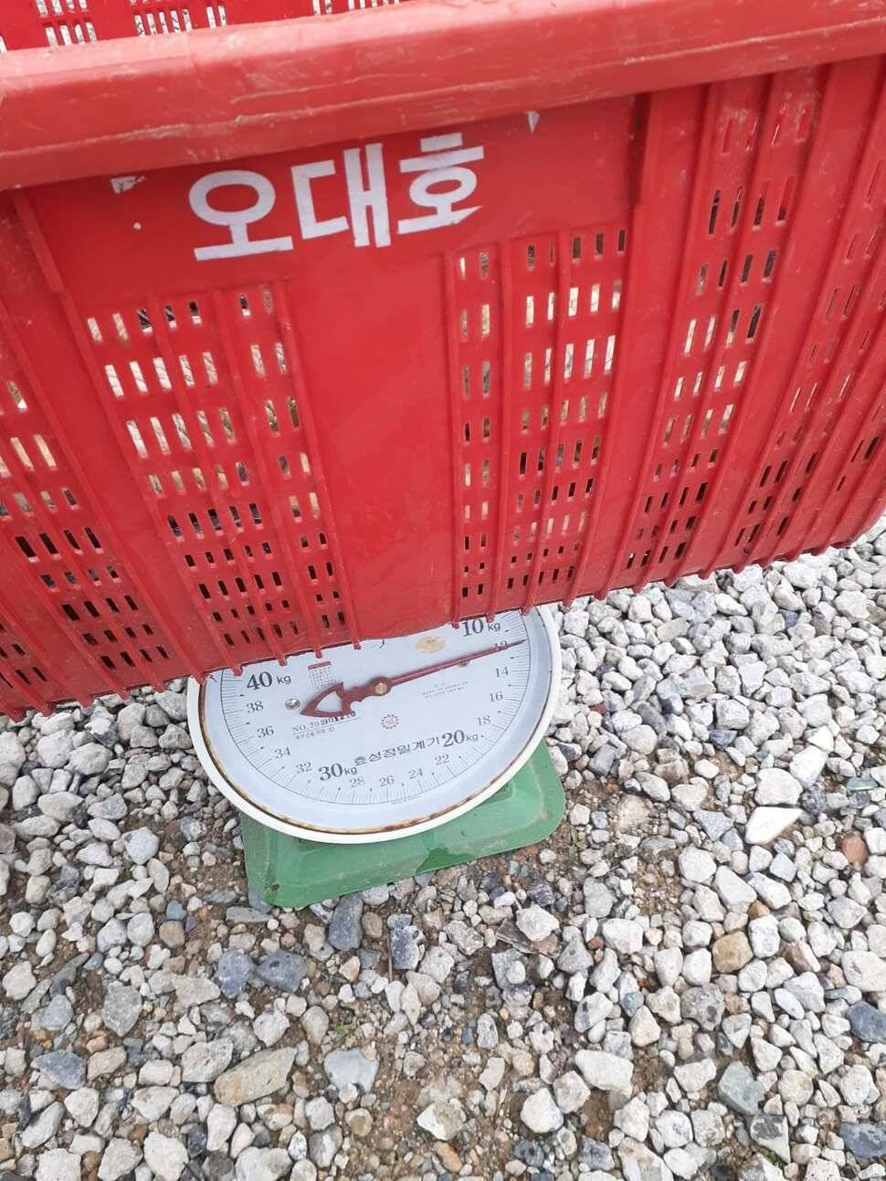 경주 동산낚시터붕어 전용잡이터지난주 조황 (유료터정보 - 유료터점주조황)