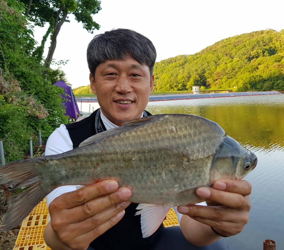 아름다운계곡속에자리잡은장계지에서 (유료터정보 - 유료터점주조황)