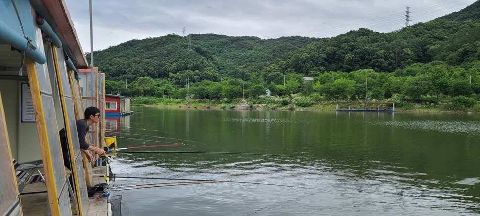 양평낚시터 힐링 수곡낚시터 7월 출발이 괜찬습니다 (유료터정보 - 유료터점주조황)