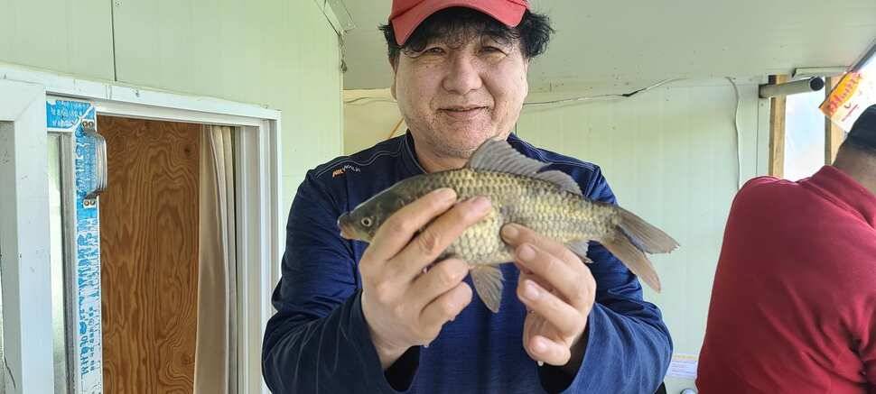 수곡지 양평 수곡낚시터 자연산 토종붕어 대량방류 주중 조황 안내 (유료터정보 - 유료터점주조황)